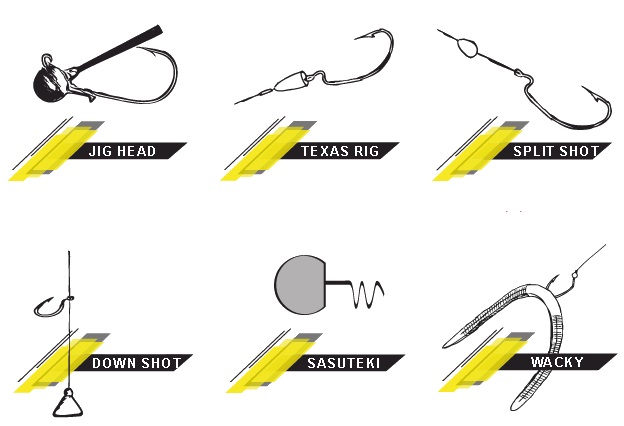 ispanic shad chart ispanic shad chart